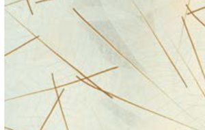 Skellett Leaves