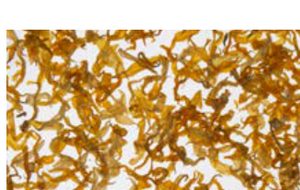 Sunflower Petals